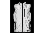 Obrázok z CXS SHINE Vesta strieborná