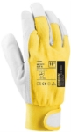 Obrázok z ARDON®HOBBY Pracovné rukavice