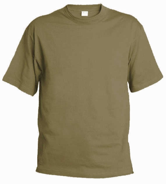 Obrázok z Pánske tričko T9 zinková