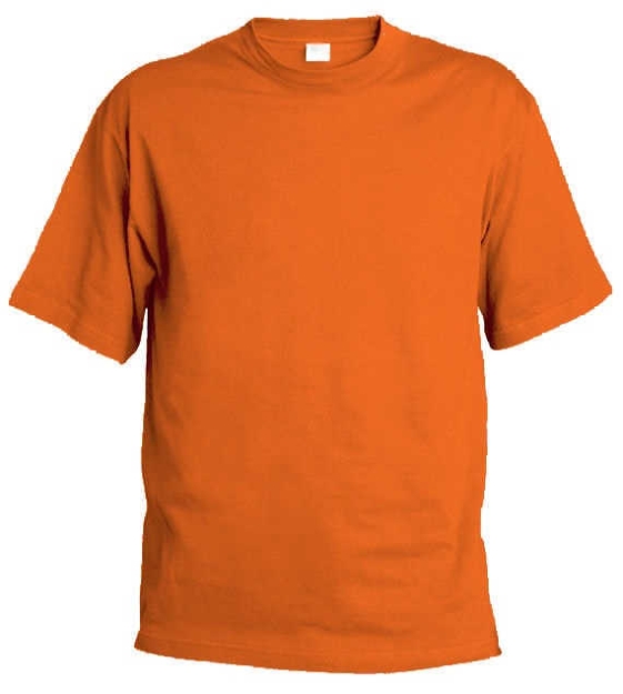 Obrázok z Pánské tričko Chok 190 oranžová