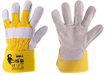 Obrázok z CXS DINGO A Pracovné kombinované rukavice - 60 párů
