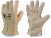 Obrázok z CXS ASTAR Pracovné kožené rukavice