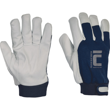 Obrázok z Cerva PELICAN BLUE Pracovné rukavice zimné