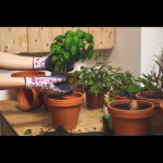 Obrázok z Cerva PINTAIL Pracovné rukavice navy / fialová 12 párov